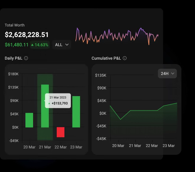 CoinStats Profit & Loss analysis dashboard